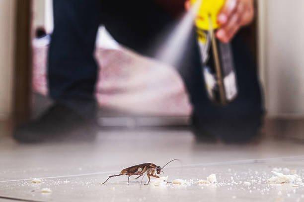 Pest Control Cost in Florence, MS